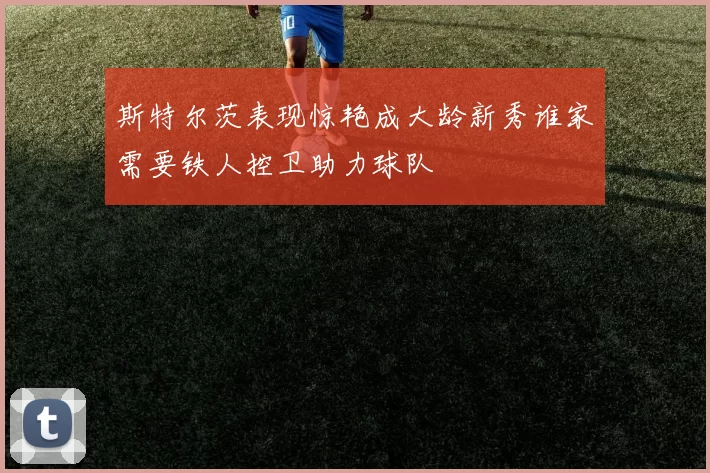 斯特尔茨表现惊艳成大龄新秀谁家需要铁人控卫助力球队